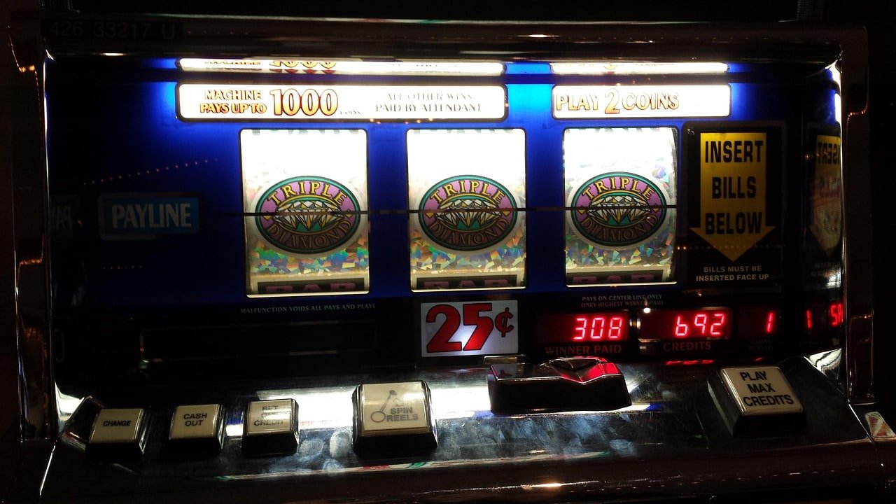 wynn998